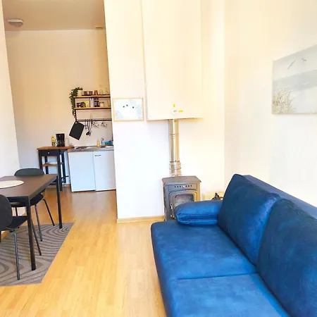 Studio, Fireplace, Super Location, Free Parking Appartement